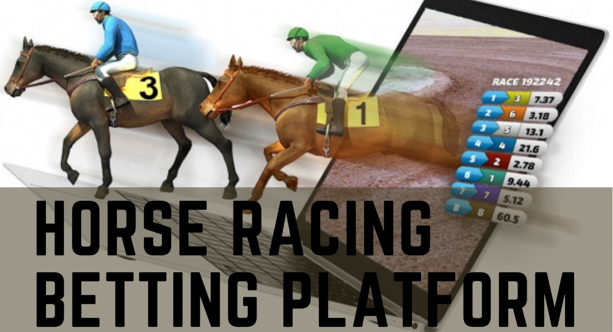 What To Look While Choosing A Horse Racing Betting Platform?