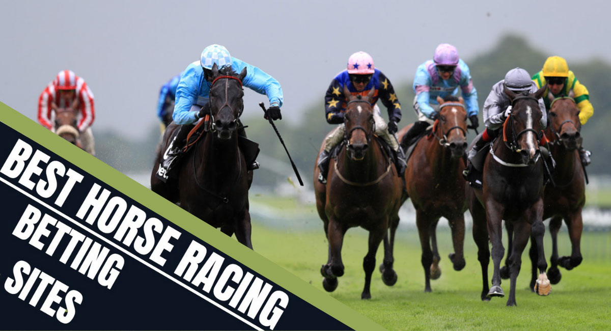 Top 4 Best Online Horse Racing Betting Sites For Professionals