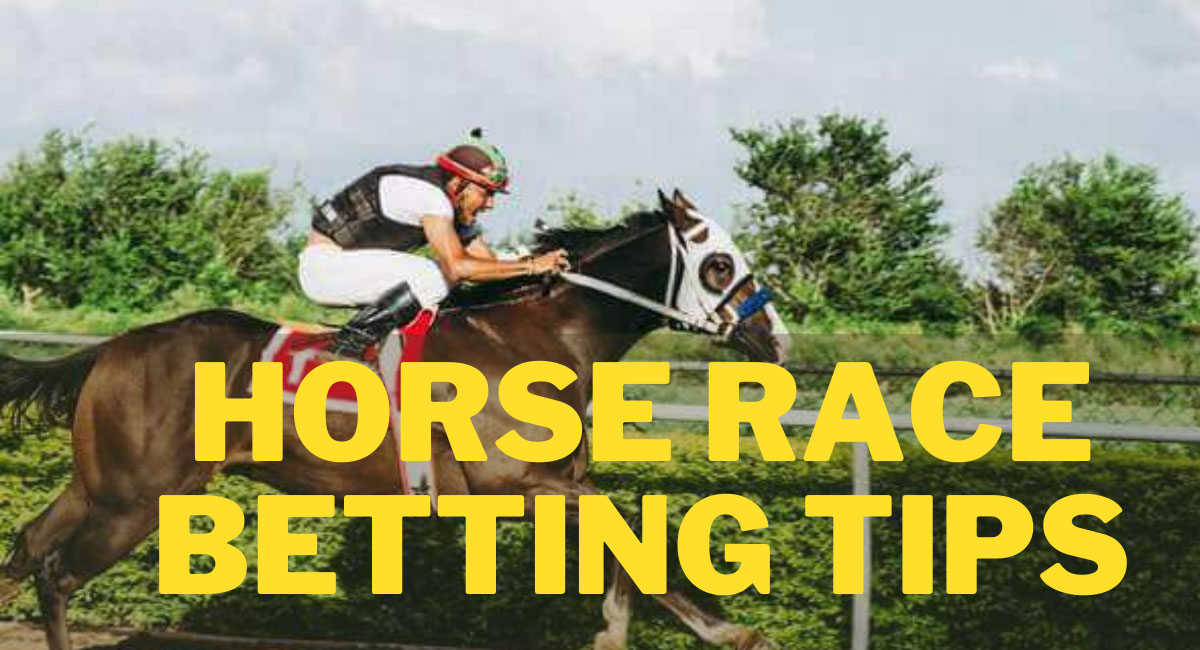 websites for horse racing betting tips