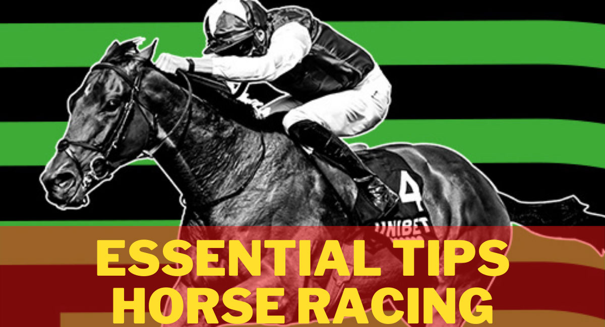Essential Tips Online Horse Betting