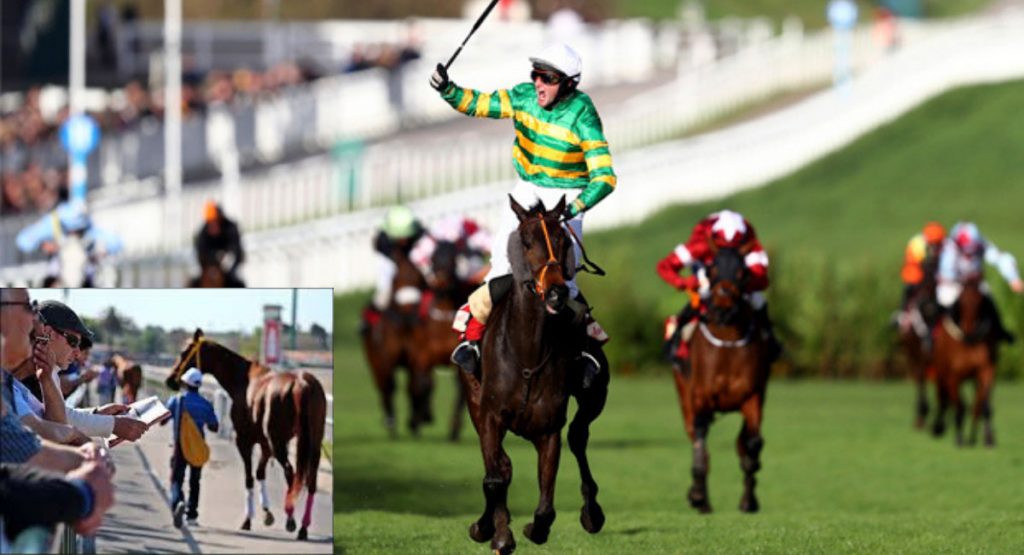 Horse racing of the most popular sports